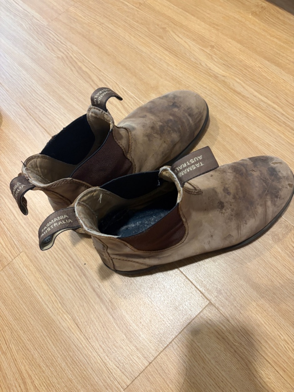 Blundstone Boots